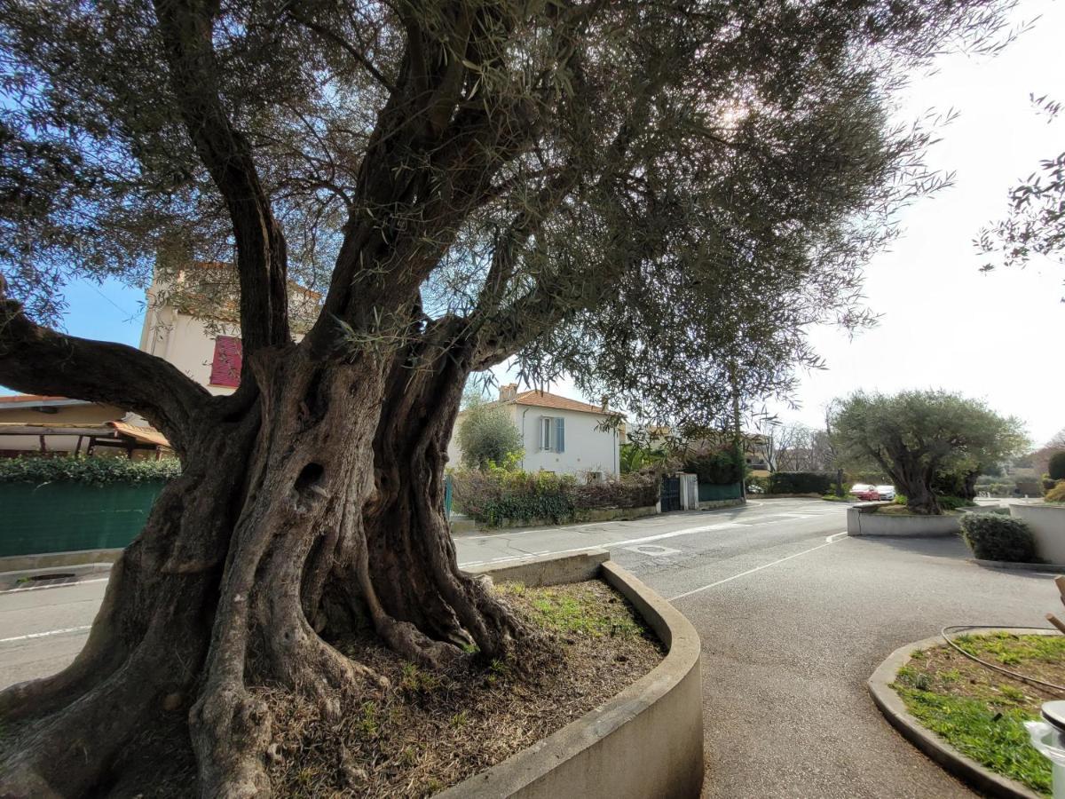 Villa La Desiree - Haut De Villa, 68M2, 8 Personnes Max, Climatise, 4 Etoiles, 120M2 De Jardin Et Parking, Wifi, Vu Merアンティーブ エクステリア 写真